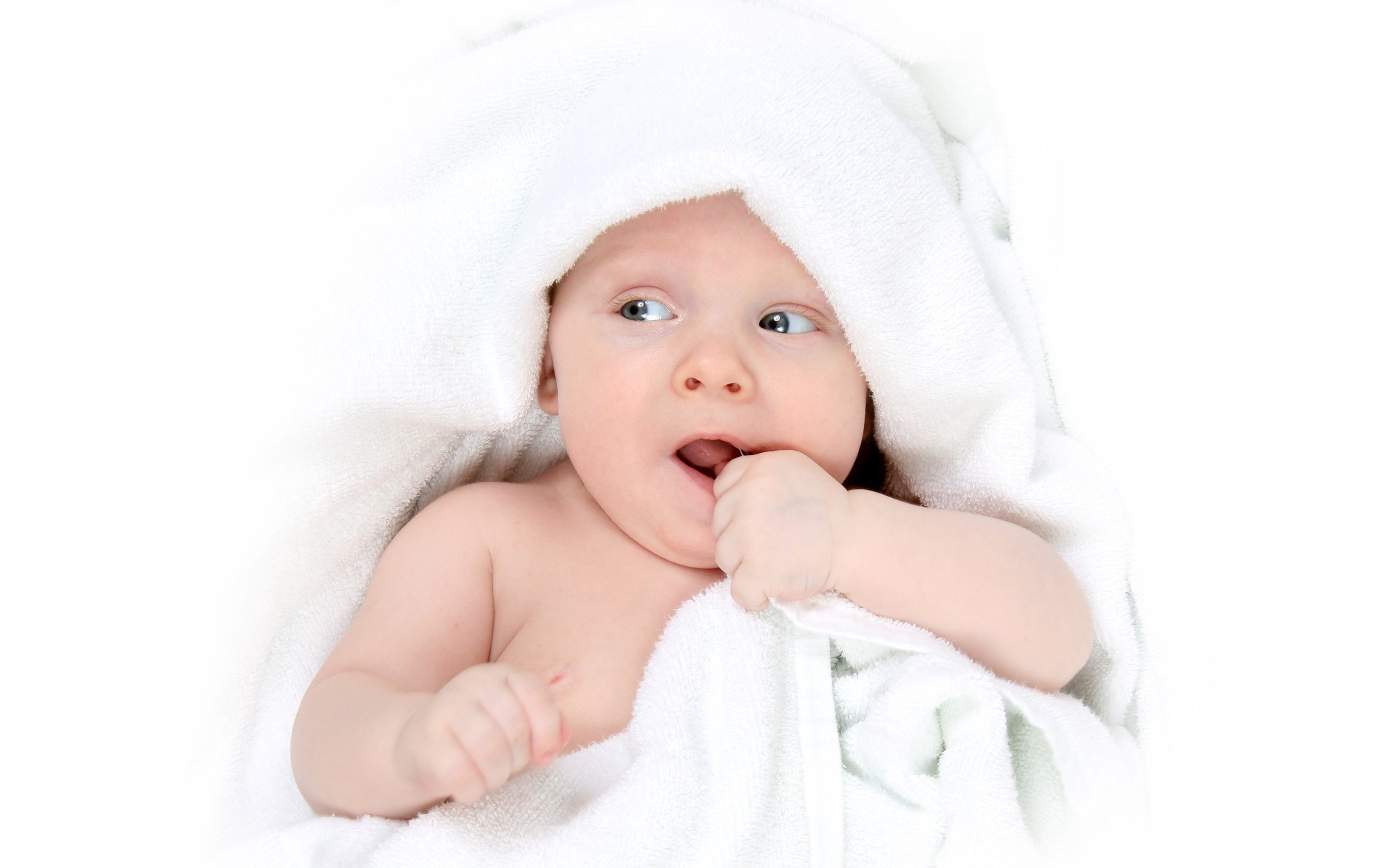 平凉正规医院捐卵卵泡发育慢怎么做试管婴儿